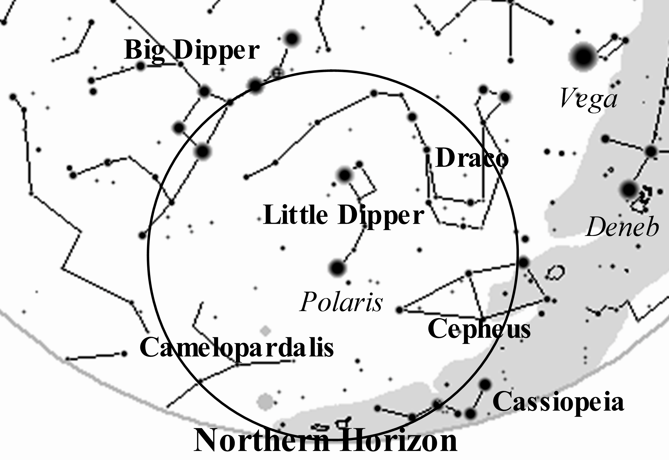 Circumpolar Region in Summer