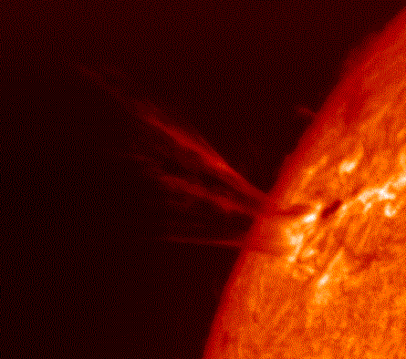 Sun (NASA photo)